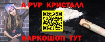 стафф Гатчина