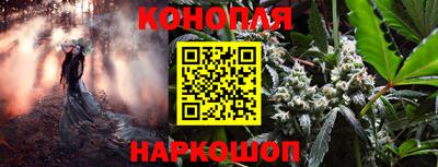 PSILOCYBIN Гусь-Хрустальный