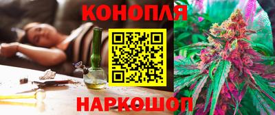 МДПВ Гусев