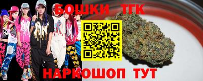 стафф Гатчина