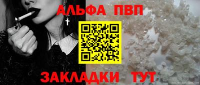 стафф Гатчина