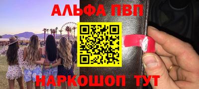 стафф Гатчина